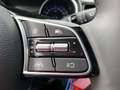 Kia Ceed / cee'd ceed 1,0 T-GDI GPF Silber Blanc - thumbnail 16
