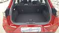 Ford Puma 1,0 EcoBoost Hybrid Titanium Rot - thumbnail 16