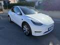 Tesla Model Y RWD - thumbnail 3