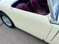 Austin-Healey Sprite Frogeye - thumbnail 13