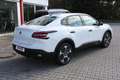 Citroen C4 X 1.0i 101PS YOU Klimaautomatik 18 ZOLL Bianco - thumbnail 12