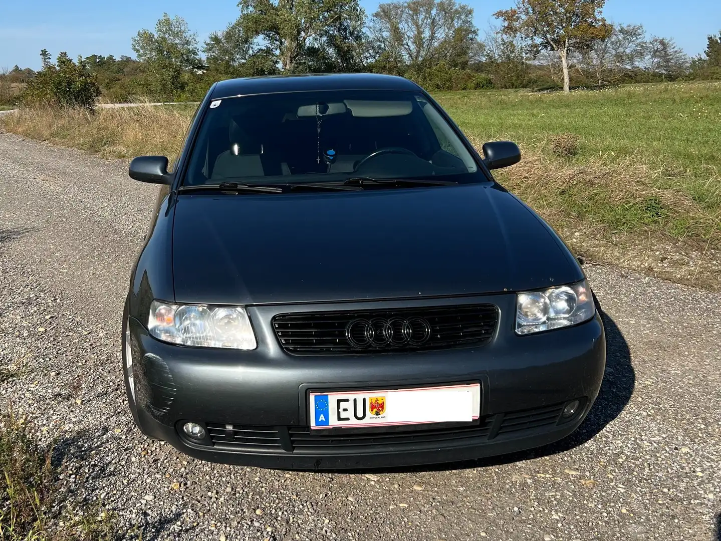 Audi A3 A3 1,9 Ambition TDI Ambition Gris - 2