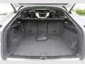 Audi RS Q8 SUV performance 471640 kWPS tiptronic UPE 193.730, Weiß - thumbnail 6