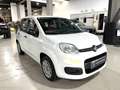 Fiat Panda 1.2 Easy Blanc - thumbnail 1