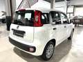 Fiat Panda 1.2 Easy Blanc - thumbnail 16