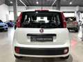 Fiat Panda 1.2 Easy Blanc - thumbnail 18