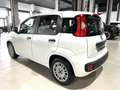 Fiat Panda 1.2 Easy Blanc - thumbnail 17