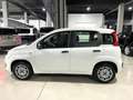 Fiat Panda 1.2 Easy Blanc - thumbnail 5