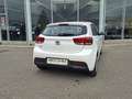 Kia Rio 1,25 MPI Neon ISG Weiß - thumbnail 3