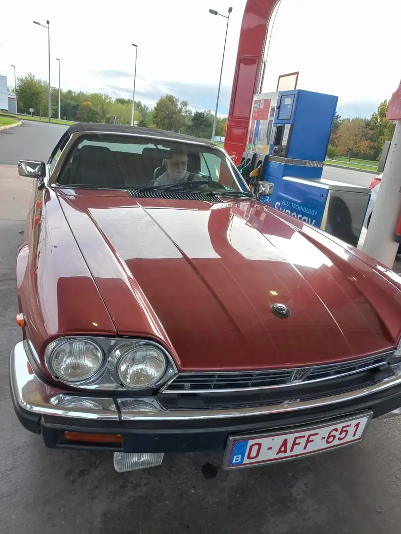 Jaguar XJS Rouge - 2