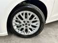SEAT Ibiza 1.0 TSI S&S Xcellence 115 Blanco - thumbnail 19