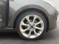 Ford Fiesta 1.0 EcoBoost S&S Aut. TITANIUM Gris - thumbnail 25