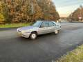 Citroen BX BX 1.6 TGI Plateado - thumbnail 1
