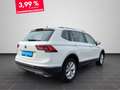Volkswagen Tiguan Allspace Highline 1.5 TSI DSG LED NAVI AC Weiß - thumbnail 3