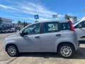 Fiat Panda 1.0 firefly hybrid 5POSTI RadioBT - Uff.Italiana Grau - thumbnail 2