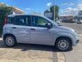 Fiat Panda 1.0 firefly hybrid 5POSTI RadioBT - Uff.Italiana Grau - thumbnail 5