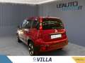 Fiat Panda 1.0 firefly hybrid s&s 70cv 5p.ti Rosso - thumbnail 5