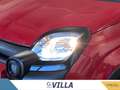 Fiat Panda 1.0 firefly hybrid s&s 70cv 5p.ti Rosso - thumbnail 6