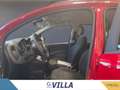 Fiat Panda 1.0 firefly hybrid s&s 70cv 5p.ti Rosso - thumbnail 13