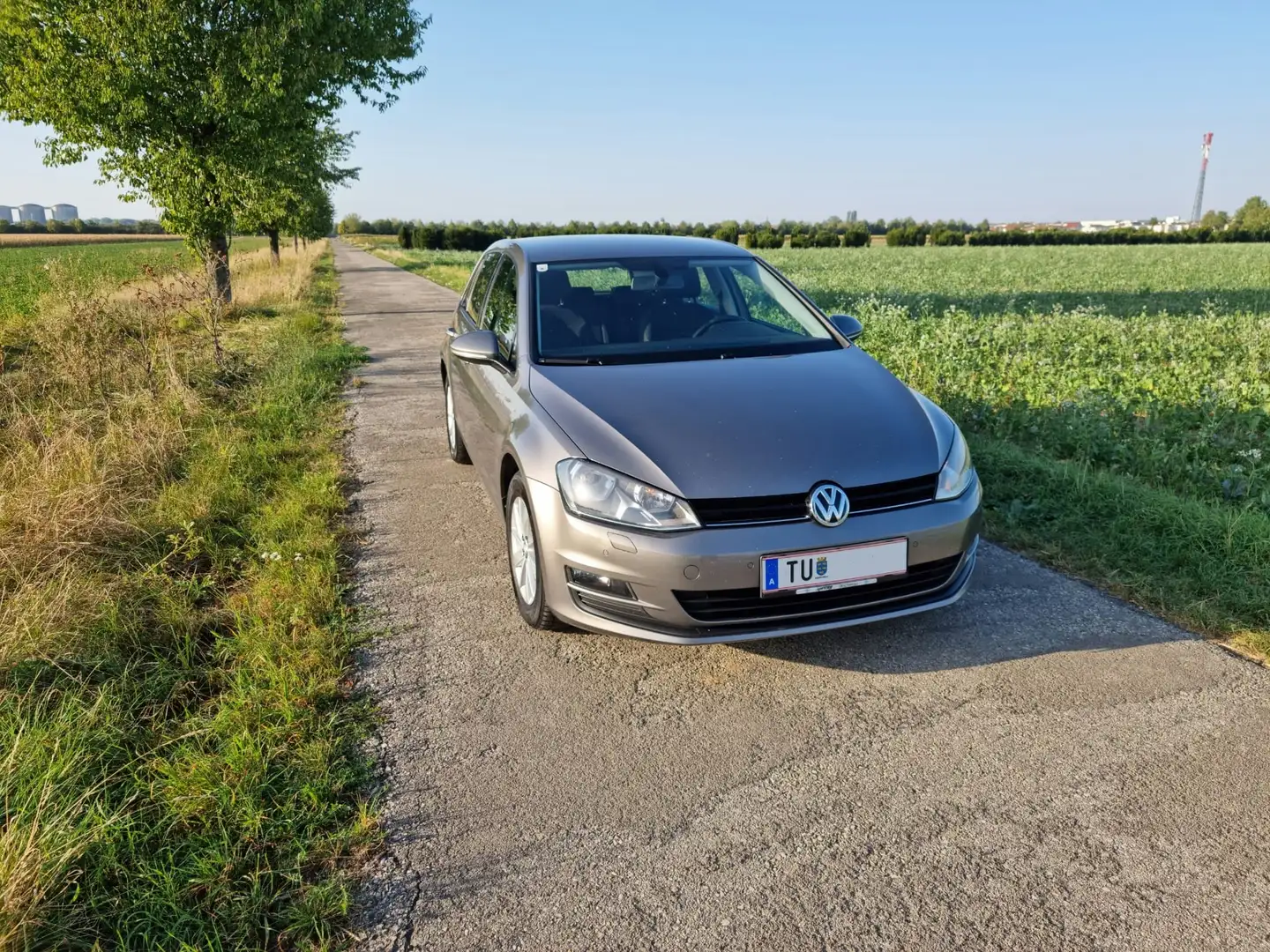 Volkswagen Golf Golf Rabbit 1,6 TDI BMT Rabbit Grau - 1