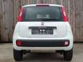 Fiat Panda 0.9 Twinair Turbo CNG Klima 62KW Euro 6 Weiß - thumbnail 7