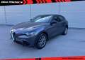 Alfa Romeo Stelvio 2.2 diesel 210 CV AT8 Q4 MY23 Super IVA ESPOSTA Grigio - thumbnail 1