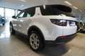 Land Rover Discovery Sport 2.0TD4 SE 4WD Aut./LED Weiß - thumbnail 4