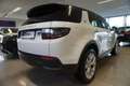 Land Rover Discovery Sport 2.0TD4 SE 4WD Aut./LED Weiß - thumbnail 5