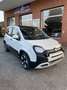 Fiat New Panda cross Bianco - thumbnail 2