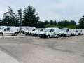 Renault Clio dCi 8V 75CV Start&Stop 5 porte N1 2 POSTI Bianco - thumbnail 11