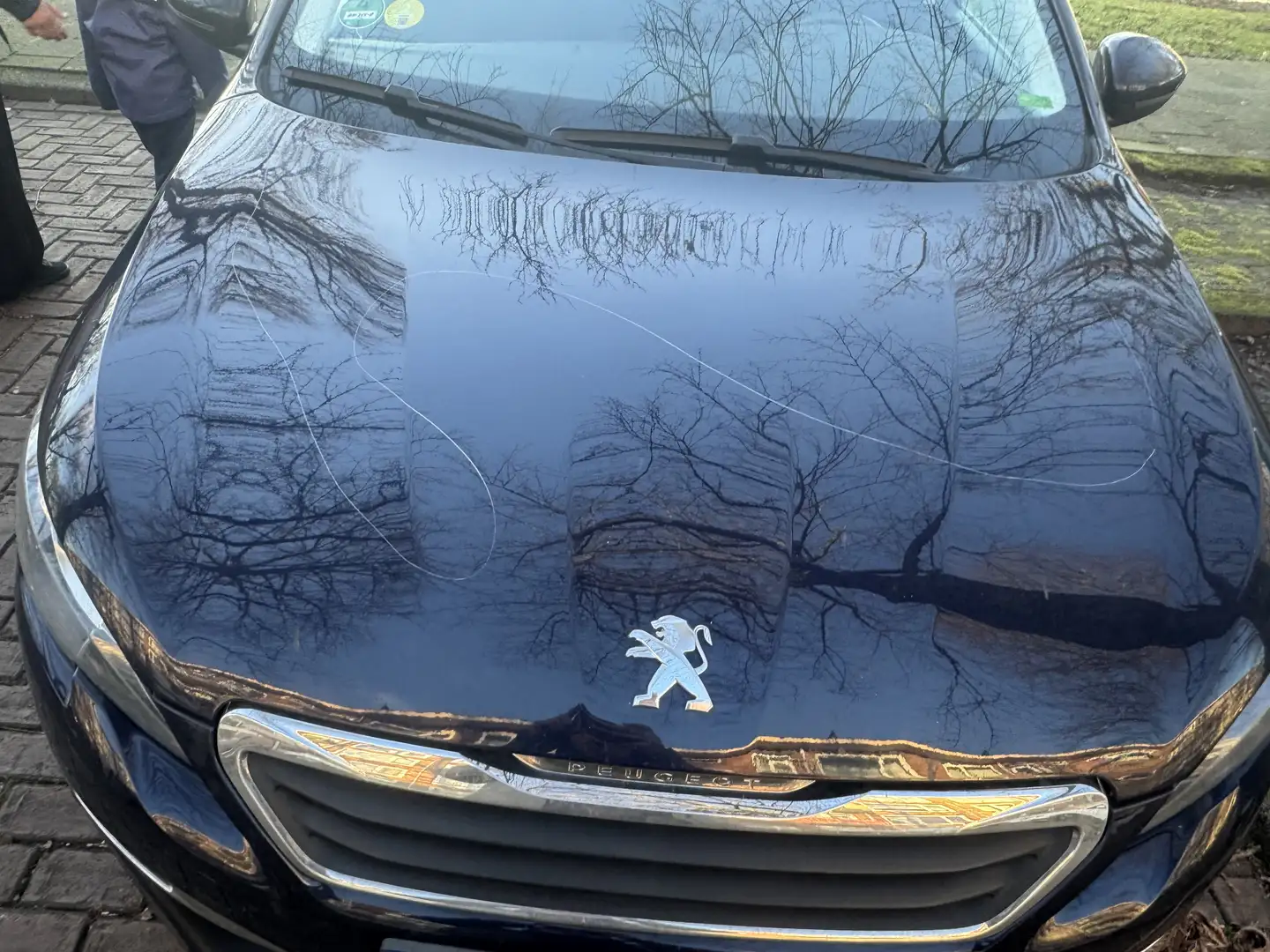 Peugeot 308 1.6 BlueHDI BL Ex.P. Blauw - 1