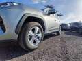 Toyota RAV 4 RAV4 2.5 HV (218CV) E-CVT 2WD Active Grau - thumbnail 9