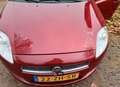 Fiat Bravo Bravo 1.4 T-Jet Sport Roşu - thumbnail 8