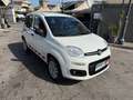 Fiat Panda Panda 0.9 t.air t. natural power Lounge 80cv E6 Bianco - thumbnail 1