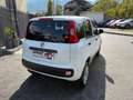 Fiat Panda Panda 0.9 t.air t. natural power Lounge 80cv E6 Bianco - thumbnail 7