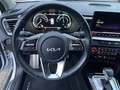 Kia XCeed 1.6 PHEV DCT PLATINUM, 8 Fach Bereift Klima Navi Blanc - thumbnail 12