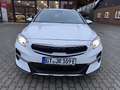 Kia XCeed 1.6 PHEV DCT PLATINUM, 8 Fach Bereift Klima Navi Blanc - thumbnail 3