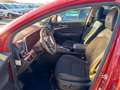 Kia Sportage 1.6 T-GDi HEV Tech 4x4 Rojo - thumbnail 14