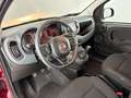 Fiat Panda Cross 1.0 FireFly Hybrid Rot - thumbnail 8