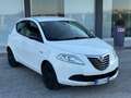 Lancia Ypsilon modello elefantino 1.2 69cv 2014 - thumbnail 1