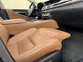 Lexus LS 600 600h President Line|NL-Auto|Leder|Navi|Schuifdak Zwart - thumbnail 34