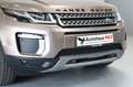 Land Rover Range Rover Evoque SE~Navi~SZH~Tempomat~Panorama - thumbnail 11