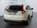 Honda CR-V Executive 4WD/AUTOMATIK/AHK/TOP/2.HAND/EUR5 Weiß - thumbnail 5