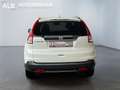 Honda CR-V Executive 4WD/AUTOMATIK/AHK/TOP/2.HAND/EUR5 Weiß - thumbnail 4