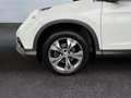 Honda CR-V Executive 4WD/AUTOMATIK/AHK/TOP/2.HAND/EUR5 Weiß - thumbnail 9