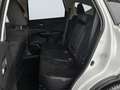 Honda CR-V Executive 4WD/AUTOMATIK/AHK/TOP/2.HAND/EUR5 Weiß - thumbnail 10