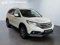 Honda CR-V Executive 4WD/AUTOMATIK/AHK/TOP/2.HAND/EUR5 Weiß - thumbnail 7