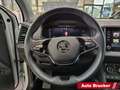 Skoda Karoq Clever 4x4 2.0 TDI Navi el. Panoramadach Weiß - thumbnail 13