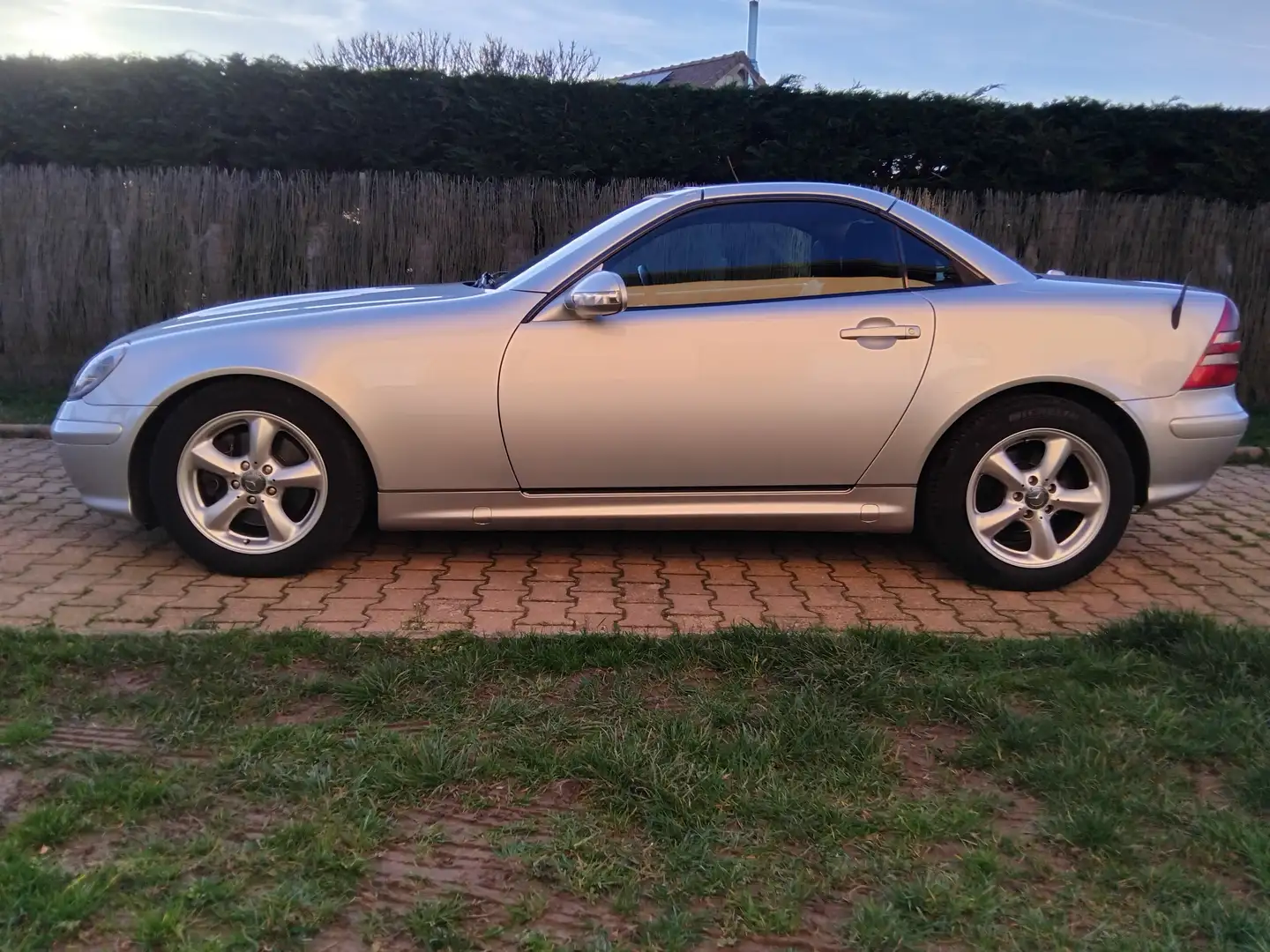 Mercedes-Benz SLK 320 SLK 320 A Plateado - 2