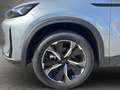 BAIC Sonstige BAIC X75 Grau - thumbnail 15
